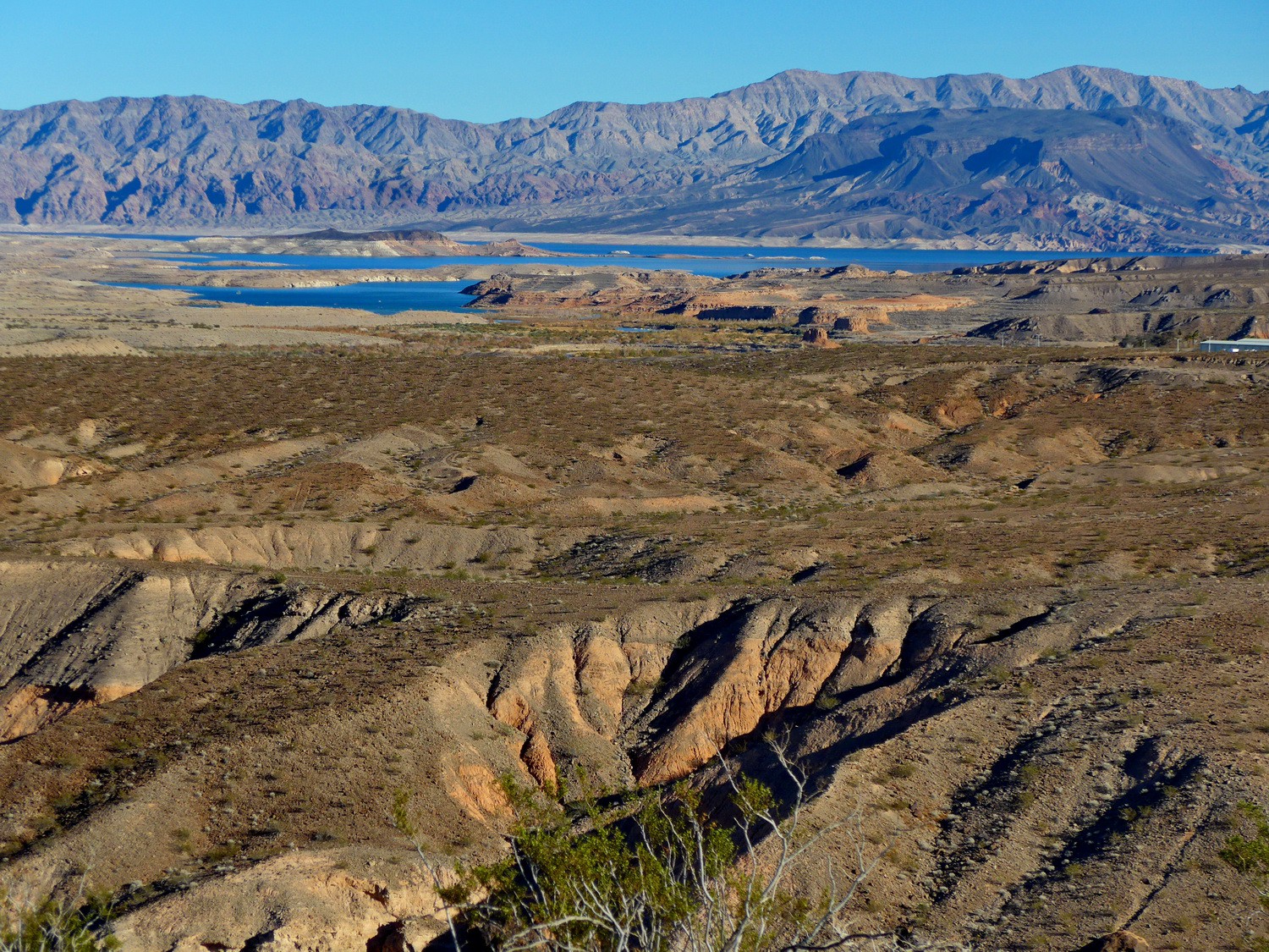 Lake Mead seen from the trail "The Bluffs"